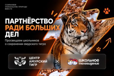 Амурский тигр и &quotШкольное телевидение&quot: соглашение о просветительских материалах для школ Центр &quotАмурский тигр&quot